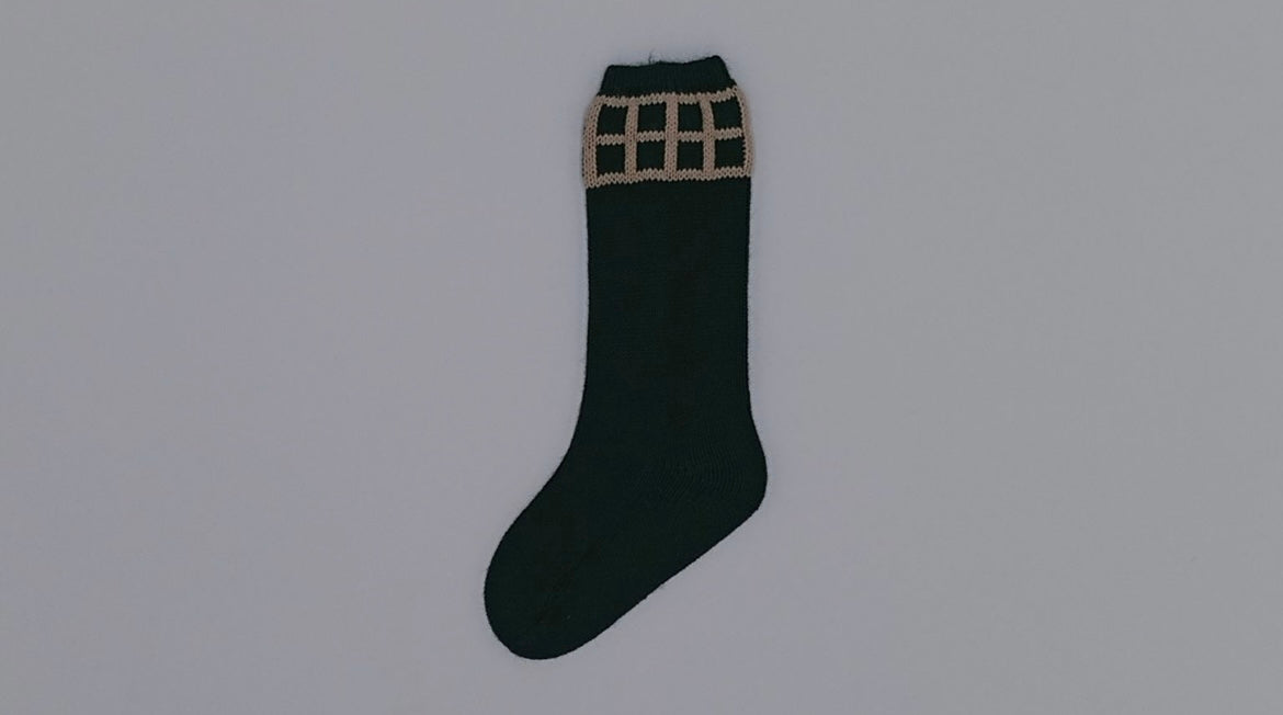 Boys Rahigo socks in bottle green